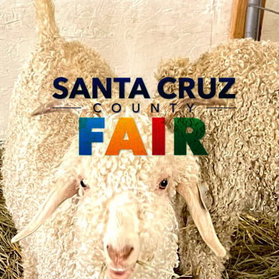 MERGE4 at the Santa Cruz County Fair: Celebrating the Power of Community