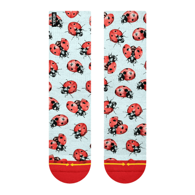 Lady bug, red, white, red toe, flying lady bugs, white sock, lady bug pattern, crawling
