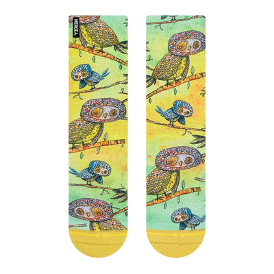 yellow, owl, bird, cute, animal, nature, green, hoot, branch, tree, compression, padded soles, arch support