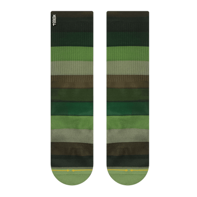 bamboo, green stripes, shades of green, dark, light, brown greens, foliage colors.