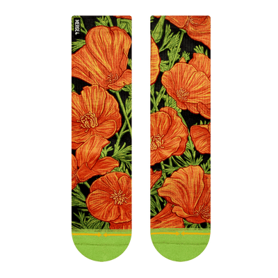california poppy, slogan, hippy, orange, green, stems, seeds, 